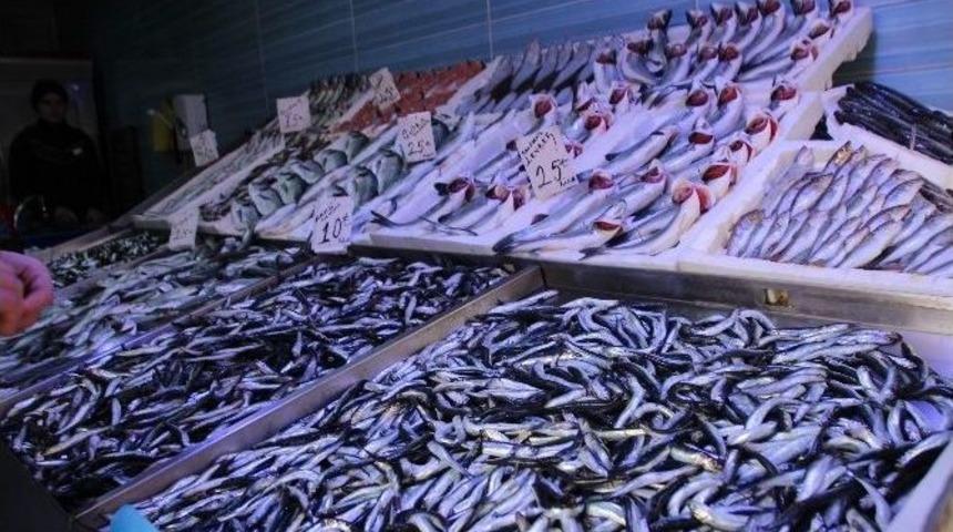 Soğuk Havalardan En Çok Balıkçılar Dertli