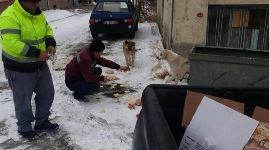 Tepebaşı&rsquo;nda Sokak Hayvanları Unutulmuyor