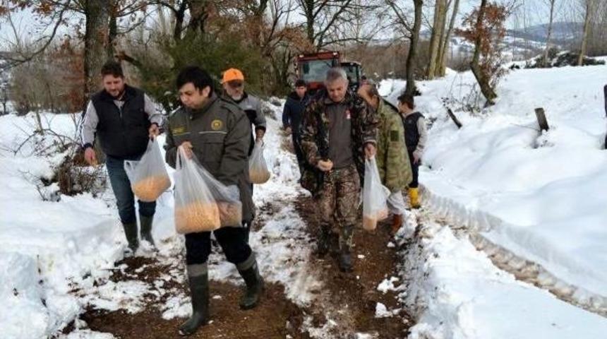 Kazdağları'ndaki Yaban Hayvanları Için Yem Bıraktılar