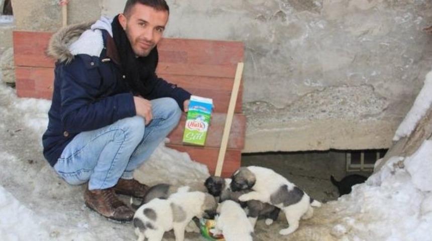 Hakkarili Gen&ccedil;ten &Ouml;rnek Davranış