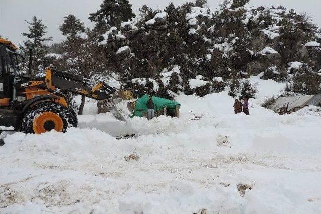 Büyükşehir Belediyesi Mahsur Kalan Çobanlar Kurtardı 1