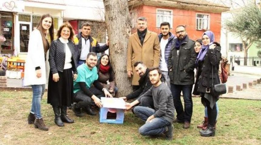 Denizli'de Sokak Kedileri I&ccedil;in 20 Ev