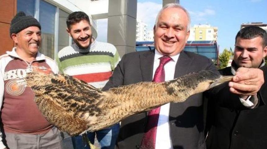 Nesli T&uuml;kenmekte Olan Balaban Kuşu, A&ccedil;lıktan Bitkin Halde Bulundu