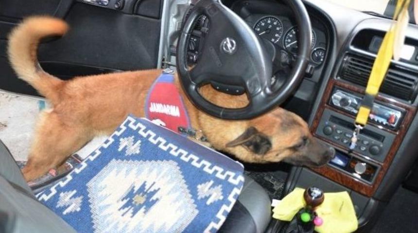 Denizli&rsquo;de Uyuşturucu Ticaretine 2 Tutuklama