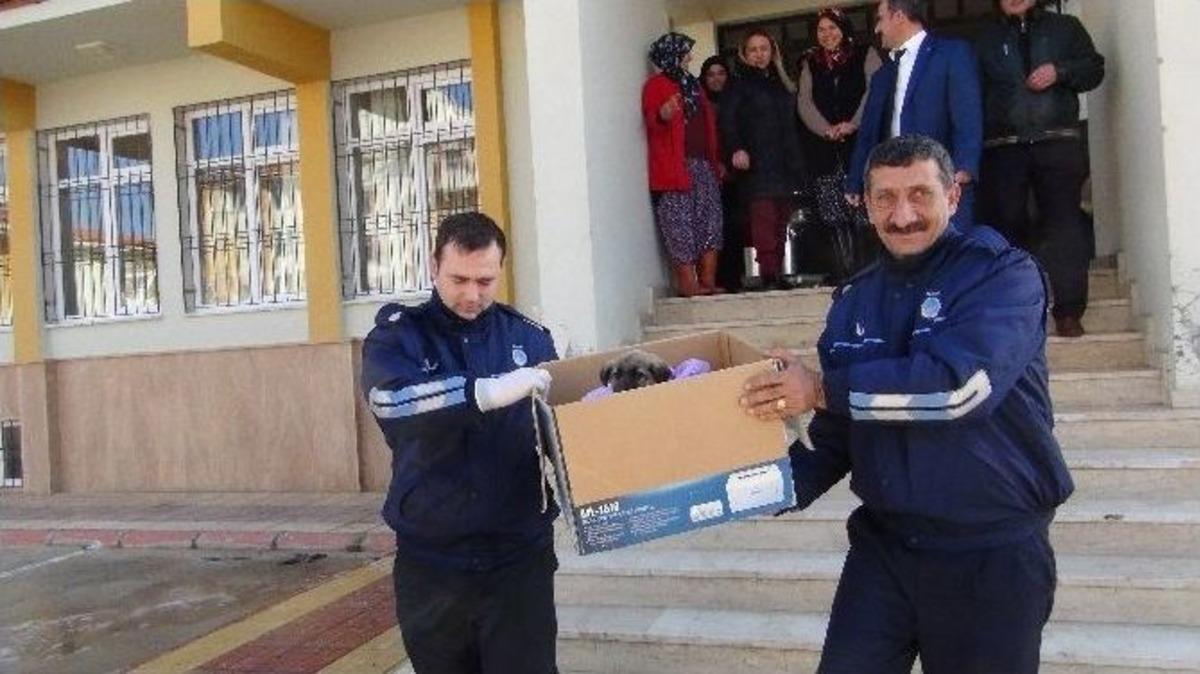 Donmak &Uuml;zere Olan K&ouml;pek İ&ccedil;in Seferber Oldular