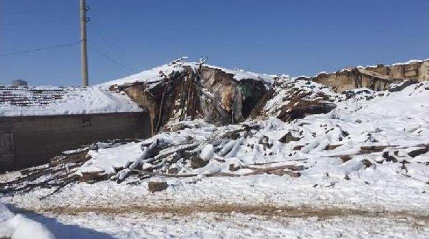 Yoğun Kardan Ahırın Çatısı Çöktü, Hayvanlar Telef Oldu (2)