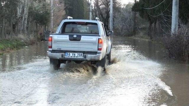 Burhaniye’de Yağmurlar Zeytine İlaç Olurken, Trafiği Aksattı