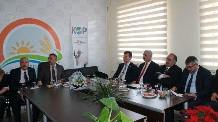 Niğde&rsquo;de G&ouml;&ccedil;e Karşı Bafra Koyunu