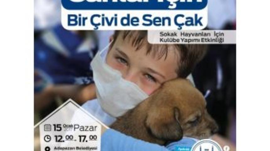 Adapazarı Belediyesi Sokak Hayvanları İ&ccedil;in &Ccedil;alışmalarına Devam Ediyor