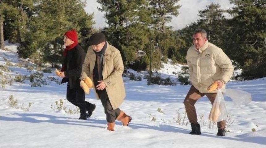 Başkan Sarıoğlu, Kuş Ve Yaban Hayvanlara Yem Bıraktı