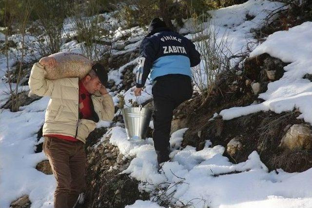 Başkan Sarıoğlu, Kuş Ve Yaban Hayvanlara Yem Bıraktı