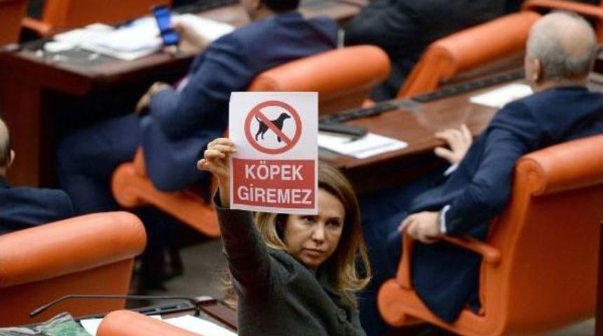 Tbmm'de Anayasa Değişikliği G&ouml;r&uuml;şmeleri Gergin Başladı