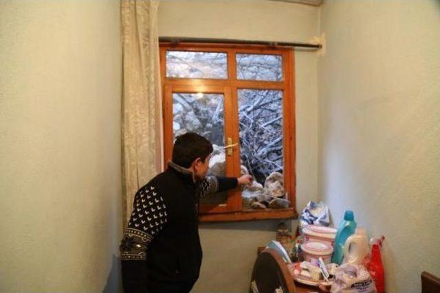 Tarihi Ocağın Duvarları Binanın &Uuml;zerine &Ccedil;&ouml;kt&uuml; 2