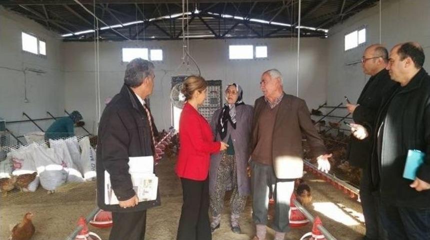 Kilis&rsquo;te Tavuk İşletmeleri Denetledi