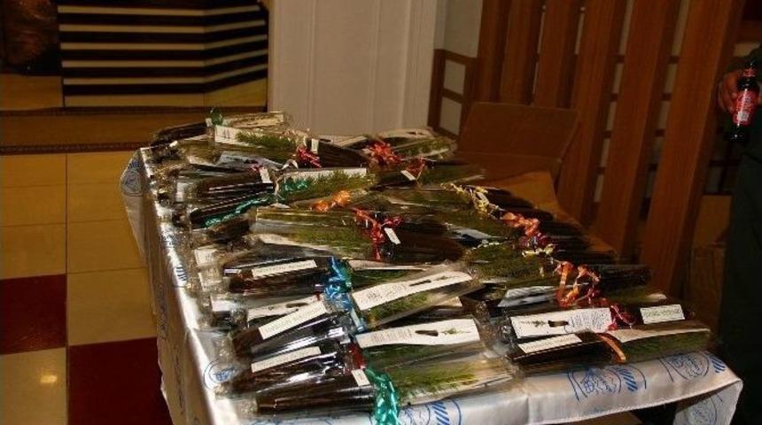 Eskişehir&rsquo;de Nik&acirc;h Fidanı Uygulaması