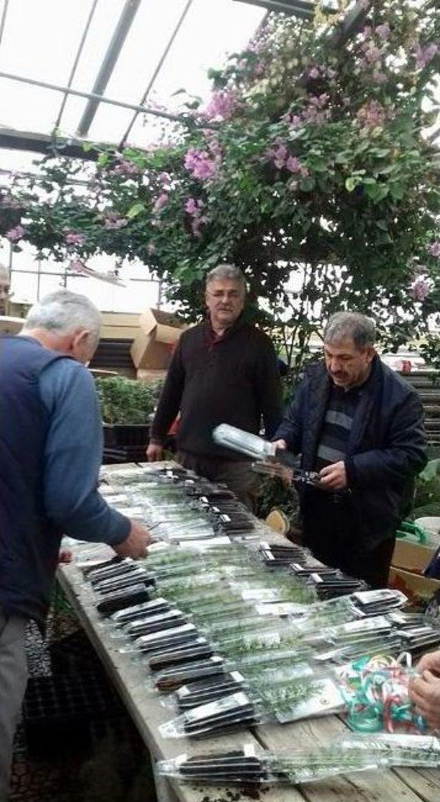 Eskişehir&rsquo;de Nik&acirc;h Fidanı Uygulaması 2