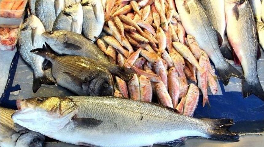 Balık&ccedil;ılar, Denizlerden Dolar Avlıyor