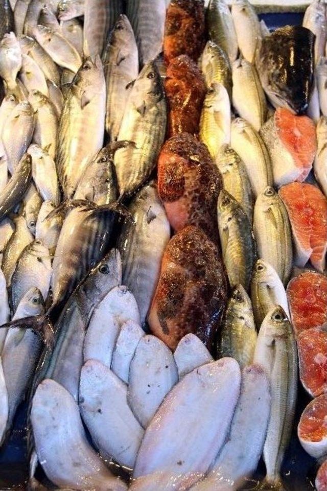 Balık&ccedil;ılar, Denizlerden Dolar Avlıyor 1