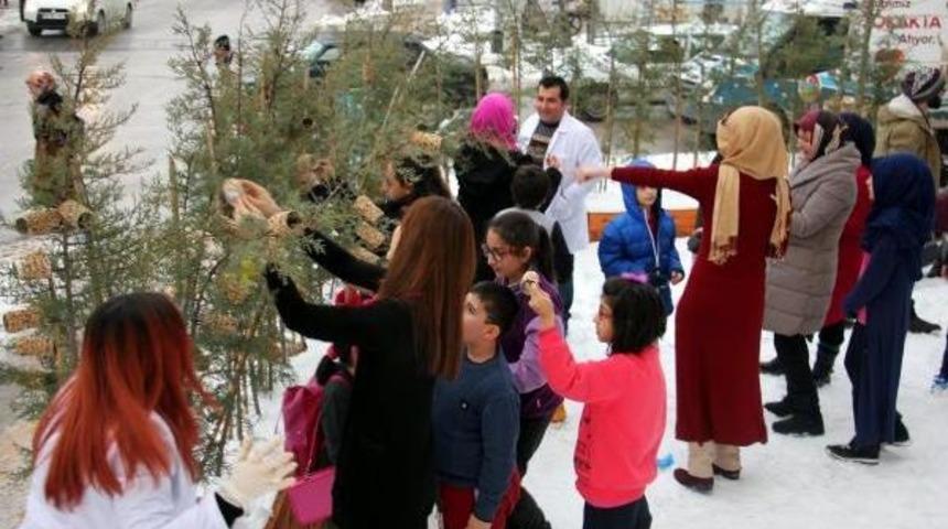 Minikler Kuşlar I&ccedil;in Yaptıkları Yemlikleri Ağa&ccedil;lara Astı