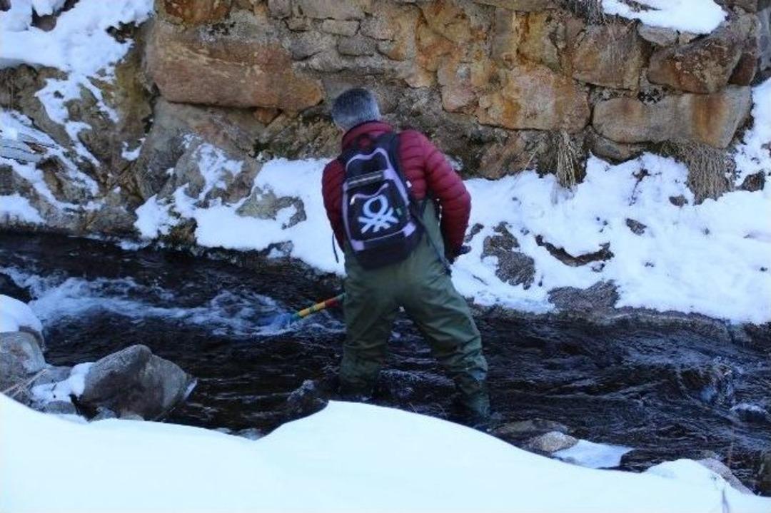 Rize Alabalığı Markalandıktan 200 G&uuml;n Sonra Kendini G&ouml;sterdi