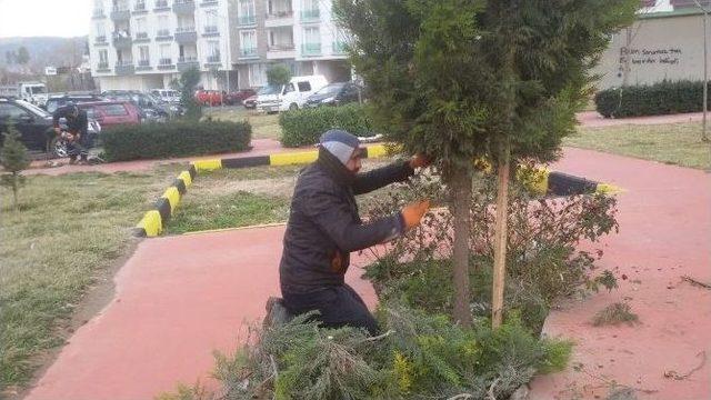 Alaşehir Belediyesi Kışlık Bakımlara Devam Ediyor 1