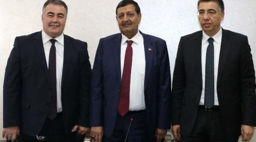 Harran Ovası&rsquo;na 1 Milyon Zeytin Ağacı