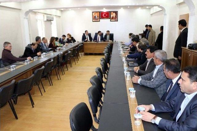 Harran Ovası&rsquo;na 1 Milyon Zeytin Ağacı 1