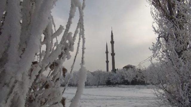 Kırağı Tutan Ağaçlar Tablo Gibi