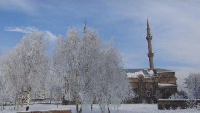 Kırağı Tutan Ağaçlar Tablo Gibi