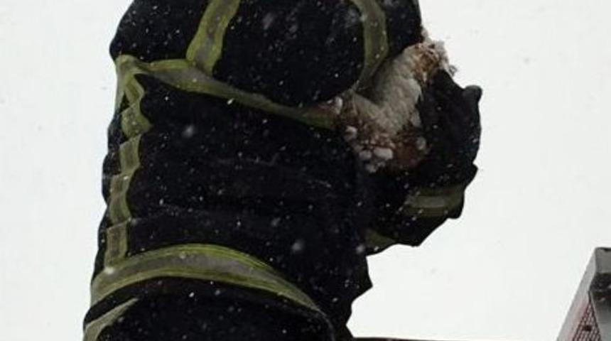 Kediye İtfaiyeci Şefkati