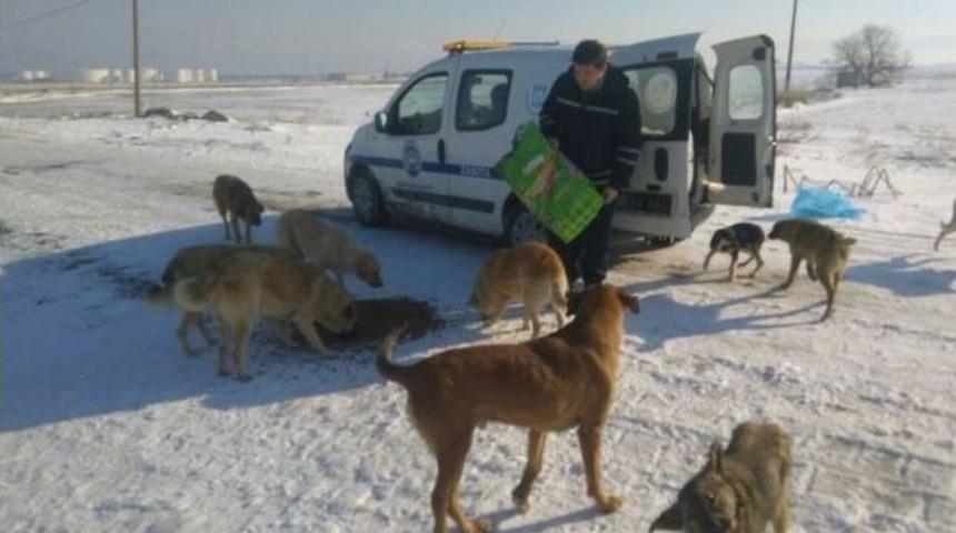 Marmaraereğlisi&rsquo;nde Karla M&uuml;cadelede Sokak Hayvanları Unutulmadı