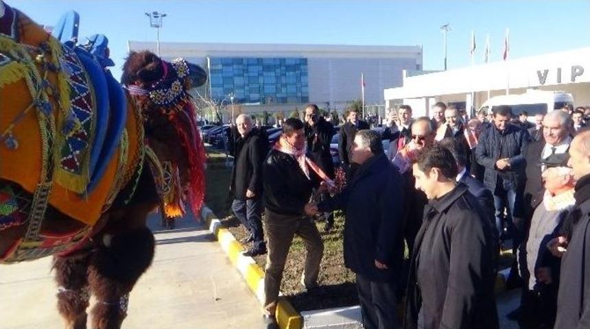 Yargıtay Başkanı Havalimanında G&uuml;reş Develeri İle Karşılandı