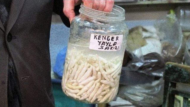 Terör Olayları Kengel Sakızını Da Vurdu 1