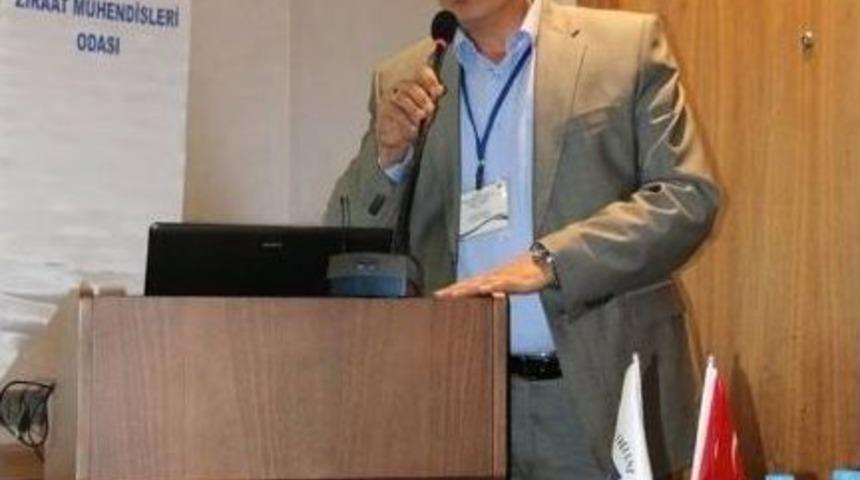 Ne Kadar &Ccedil;ok Kar, O Kadar Bereket