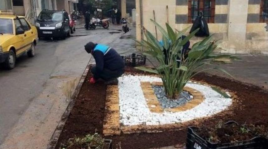 Kilis&rsquo;te Park Ref&uuml;jlere &Ccedil;i&ccedil;ek Ekimine Başlandı