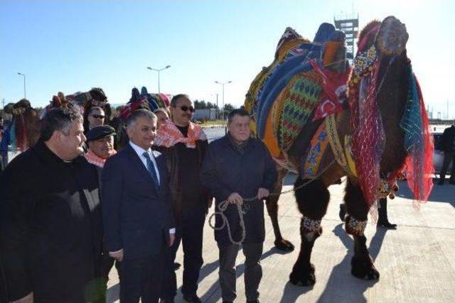 Yargıtay Başkanı Cirit'e, Edremit'te Develi Karşılama