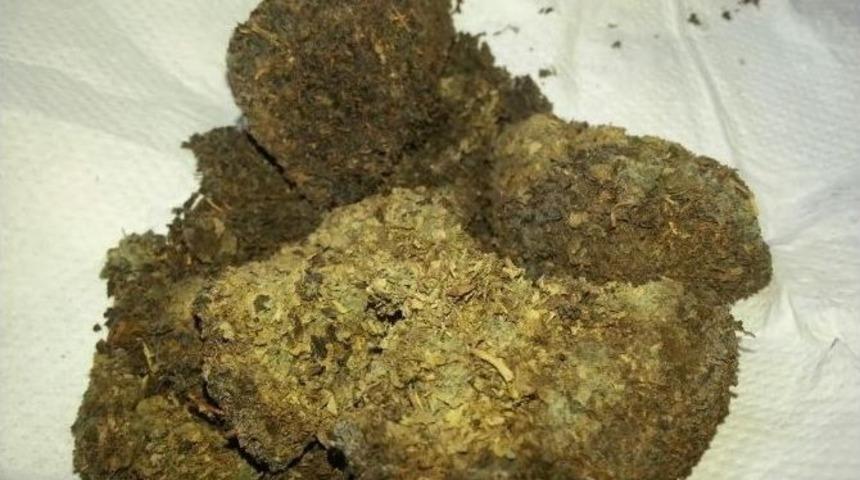 &Ccedil;ay Paketinin İ&ccedil;inden K&uuml;f &Ccedil;ıktı