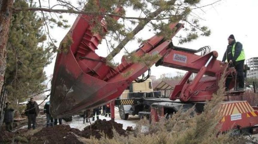 Eskişehir'de Ağa&ccedil; S&ouml;k&uuml;m&uuml;ne Tepki