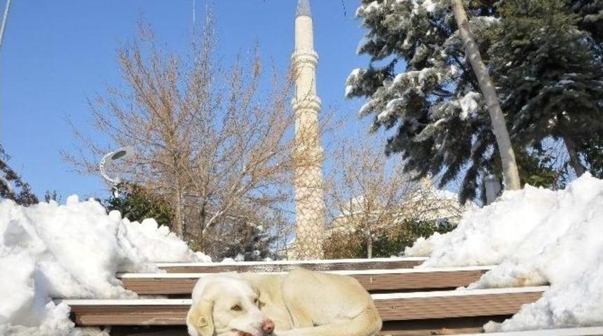 Edirne&rsquo;de G&uuml;neş Kendini G&ouml;sterdi