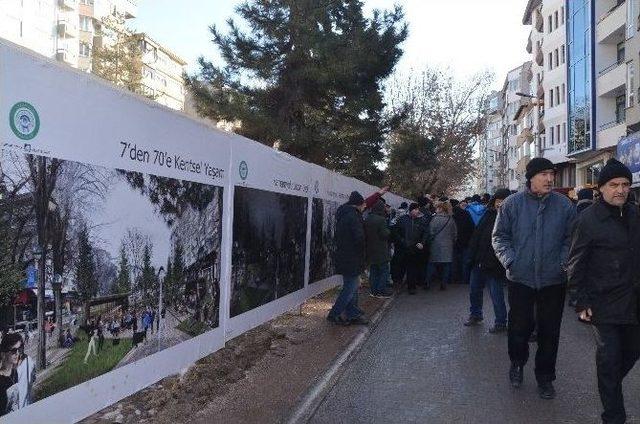 Odunpazarı’nda Asırlık Ağaçların Katledildiği İddiası