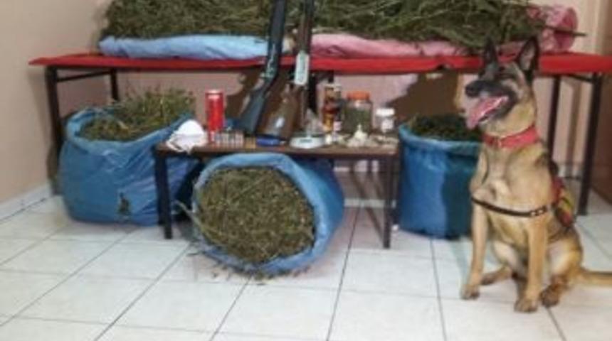 Rize&rsquo;de 13 Kilo Esrar Ele Ge&ccedil;irildi