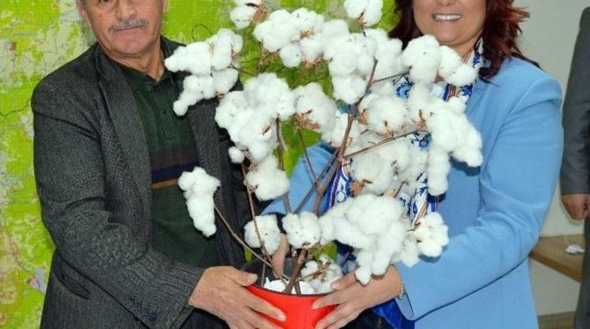 Nazillili Mahalle Muhtarlarından Başkan &Ccedil;er&ccedil;ioğlu&rsquo;na Teşekk&uuml;r