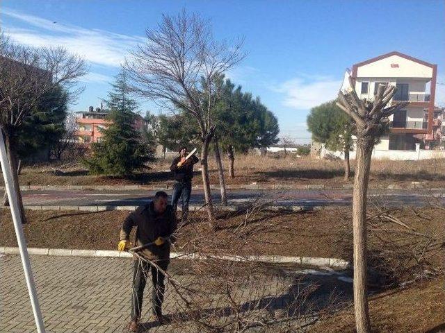 Ağa&ccedil;lara Kış &Ouml;nlemi 1