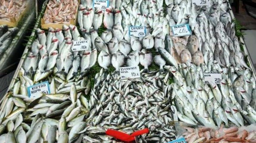 Hava Isındı, Balık &Ccedil;eşidi Arttı