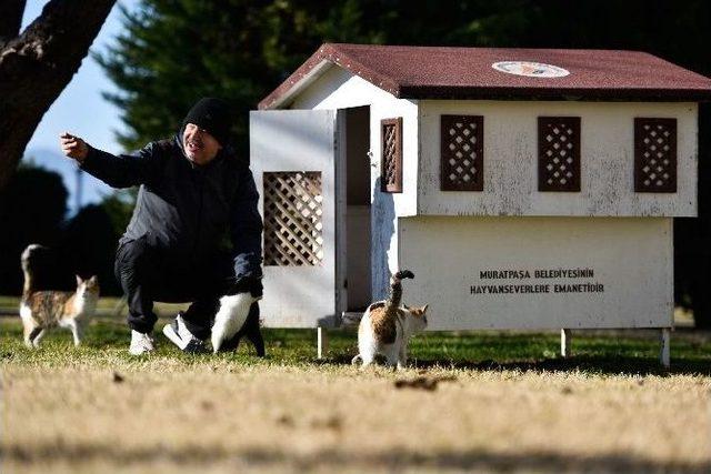 Muratpaşa Belediyesi, 18 Yeni Kedi Evi Yerleştirdi