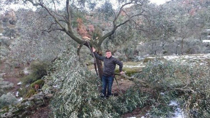 Aydın’da Kar Felaketi G3