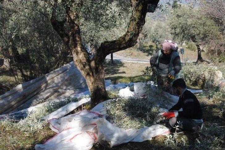 Aydın’da Kar Felaketi G5