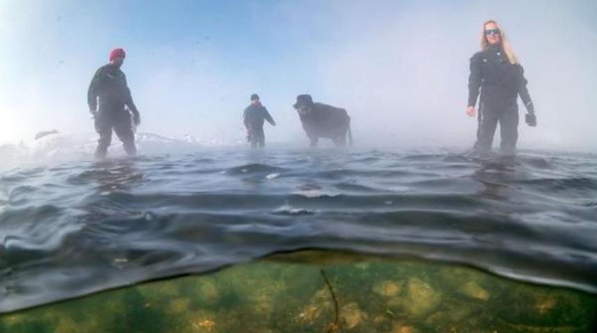 Buz Tutmuş G&ouml;lde Mandaların Beslenmesini Sualtından G&ouml;r&uuml;nt&uuml;lediler