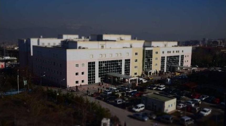 Hastaların Baş Tabibi Kadınlar