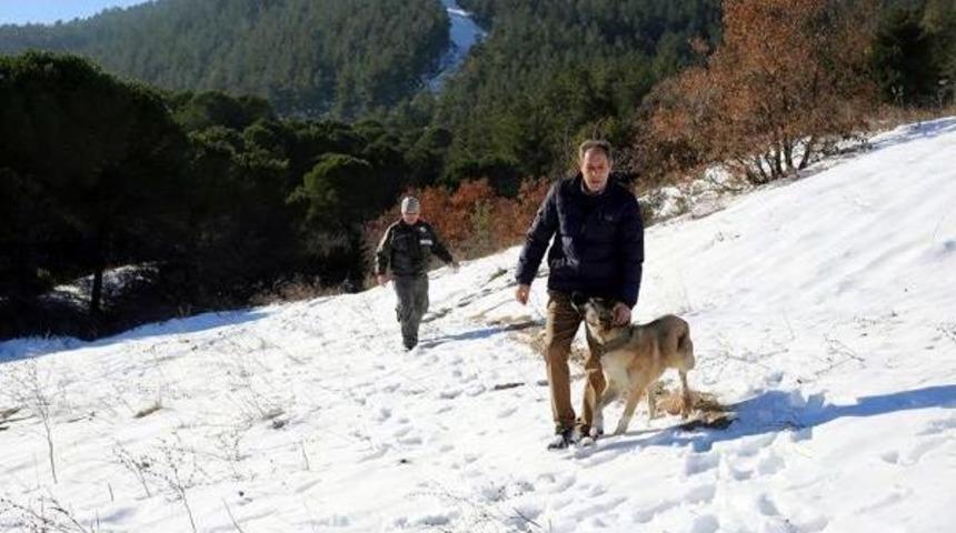 Ganos Dağı'ndaki Yaban Hayvanlarına Yiyecek Bırakıldı